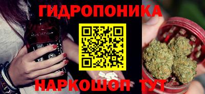 стаф Нальчик