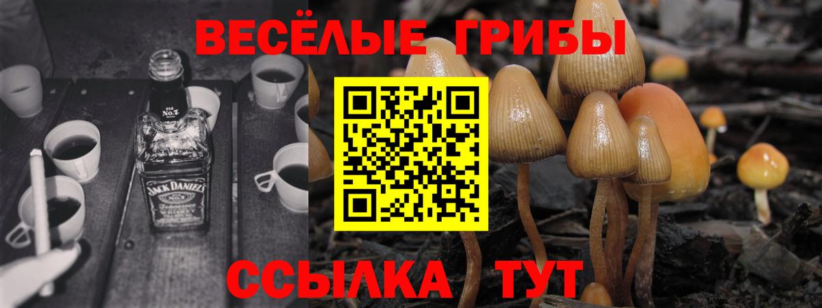 Галлюциногенные грибы мухоморы  Вход с VPN  Арсеньев 