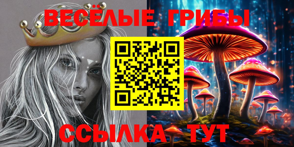 Псилоцибиновые грибы Psilocybe Арсеньев